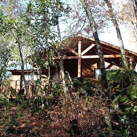 Cabana Bosque Viejo Vila Las Trancas Exterior foto