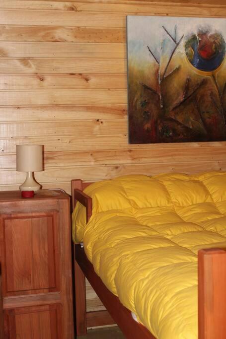 Cabana Bosque Viejo Vila Las Trancas Exterior foto