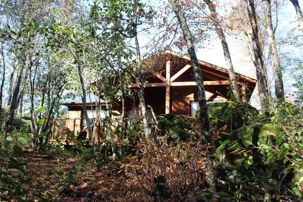 Cabana Bosque Viejo Vila Las Trancas Exterior foto